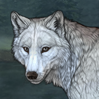 Wolf Headshot