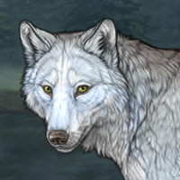 Wolf Headshot