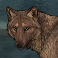 Lupos Headshot