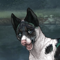 Spdagi piebald Headshot