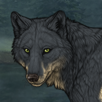 Wolf Headshot