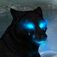 Darkwood Headshot