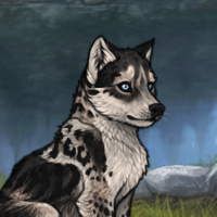 IRON / Husky keep! Headshot