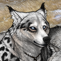 🗻 Iceage 🗻 Headshot