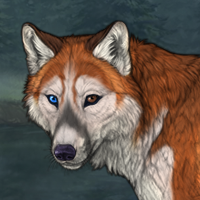 Foxrunner Headshot