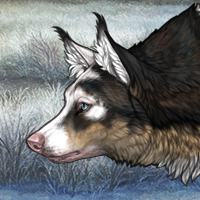 Yanna Headshot