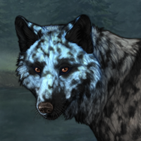 Blue-Faced Dalmatian Headshot