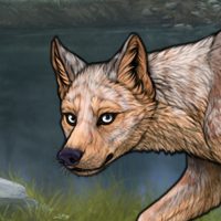Lynx'fur Headshot