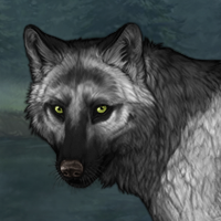 Wolf Headshot