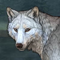 Wolf Headshot