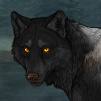 Wolf Headshot