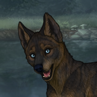 New Adopted Puppy Headshot