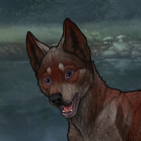 Enclave Pup Headshot