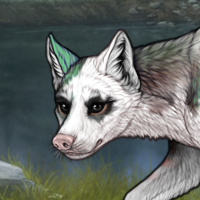 Piebald: Torn Headshot