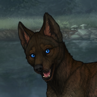 Sidhe pup Headshot