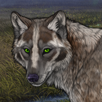 Ariane Headshot
