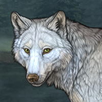 Wolf Headshot