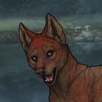 Thornpup Headshot