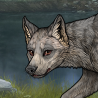 Ghost wolf Headshot