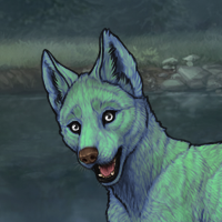 TurquoiseFur Headshot