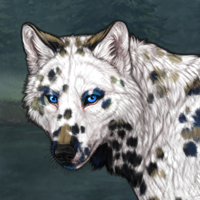 Dalmatian chx Headshot