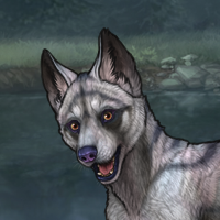 ((Pup))Melchior; 4M Headshot