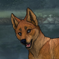 Enclave Largest Puppy Headshot