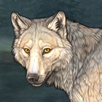 Wolf Headshot