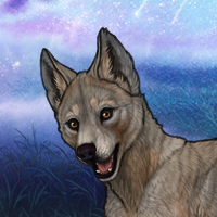 Enc carapace Headshot