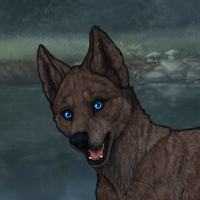 Enclave Puppy Headshot