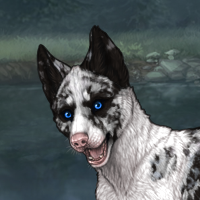 Piebald: Biewer | Female Headshot