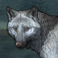 Wolf Headshot