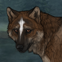 Wolf Headshot