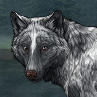 Wolf Headshot