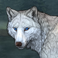 Wolf Headshot