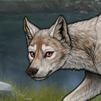 Nákúset Headshot