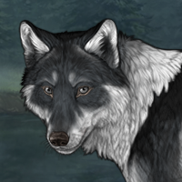 Wolf Headshot