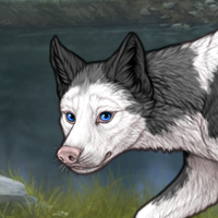 Piebald Headshot