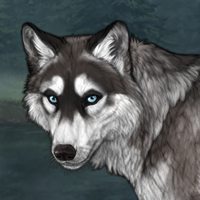 Cheers (3x Husky) Headshot