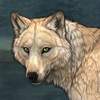 Sakari Headshot