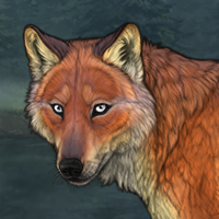 Fox'snarl Headshot