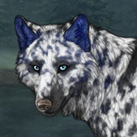 BlueOnyx Born-of-Glacier Headshot