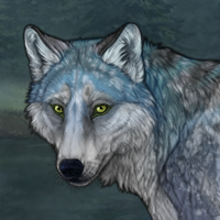 Snosteinna Headshot