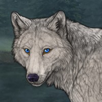 Fen Headshot