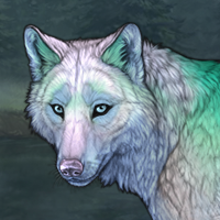 Boreala Headshot