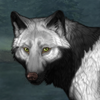 Wolf Headshot