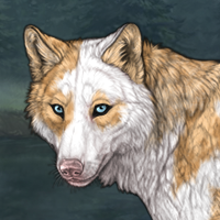 piebald F Headshot