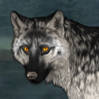 Wolf Headshot