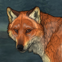 Fox sale Headshot