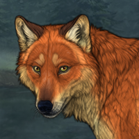 Foxpelt Headshot